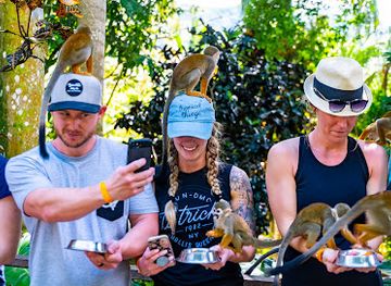 dominican-republic/higuey-region/attraction/monkeyland