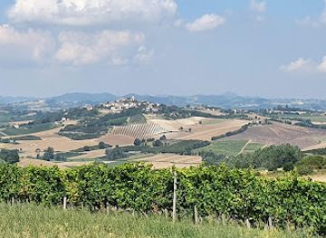 italy/monferrato/attraction/panchina-gigante-98-lu-monferrato