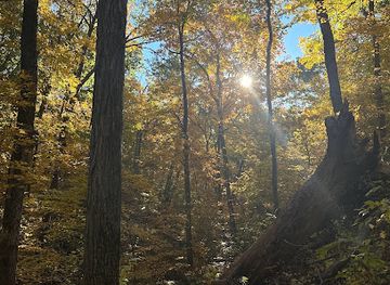 missouri/hannibal/attraction/steyermark-woods-conservation-area
