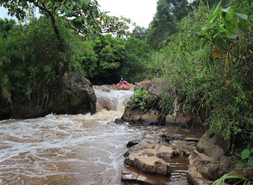uganda/bwindi-impenetrable-national-park/attraction/sana-gorilla-rafting