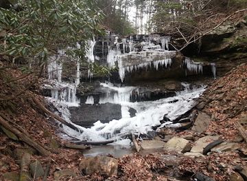 west-virginia/new-river-gorge-national-park-and-preserve/attraction/alfred-beckley-mill