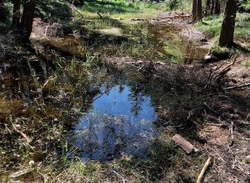 italy/trentino-alto-adige/attraction/mittersee