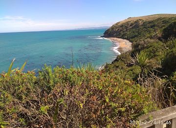 new-zealand/otago/attraction/bushy-beach-scenic-reserve
