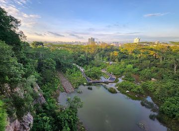 singapore/jurong/attraction/rifle-range-nature-park