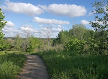 michigan/traverse-city/attraction/hippie-tree