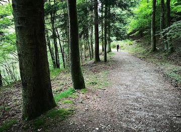 italy/lucca/attraction/state-reserve-province-of-prato