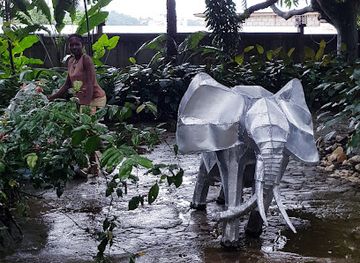 cameroon/grassfield-region/attraction/musee-ethnographique-et-d-histoire-des-peuples-de-la-foret-d-afrique-centrale