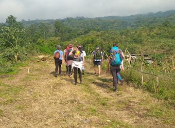 cameroon/south-west-region/attraction/queen-of-the-mountain-ecotourism-organization-on-mount-cameroon-national-park