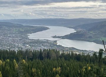norway/hedmark/attraction/swing-balbergkampen