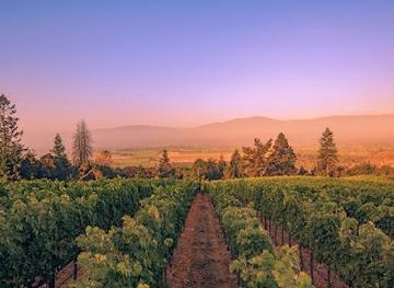 california/napa/attraction/rutherford-hill-winery