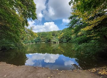 hungary/duna-ipoly-national-park/attraction/kiralyreti-educational-trail