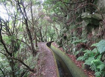portugal/madeira/attraction/levada-da-ribeira-da-janela