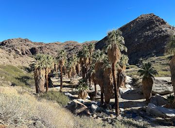 california/colorado-desert/attraction/indian-canyons