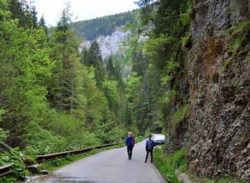 romania/bihor-mountains/attraction/cheile-ordancusei