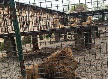 slovakia/horna-nitra/attraction/panthera-park