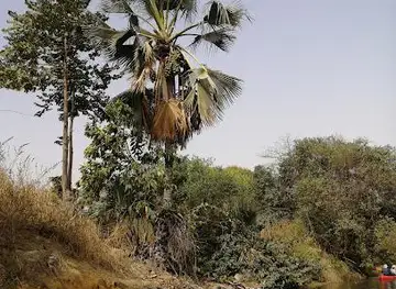 Tanji Bird Reserve