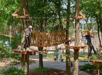 netherlands/veluwe/attraction/klimbos-harderwijk