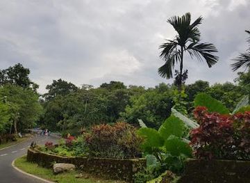 india/shillong/attraction/mawlynnong