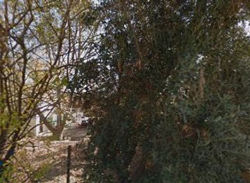 israel/netanya/attraction/shlulit-hkhvrf-sh-ayl-tl