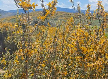 australia/kosciuszko-national-park/attraction/paton-s-hut