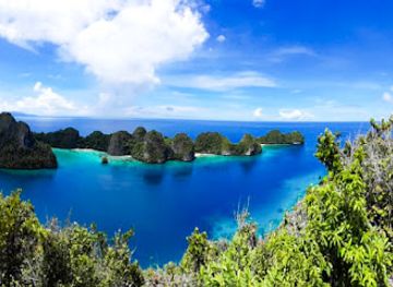 indonesia/raja-ampat/attraction/arborek-dive-shop