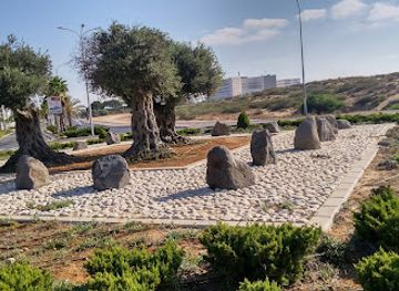 israel/ashdod/attraction/diyunot