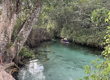 dominican-republic/samana/attraction/experience-samana-adventures