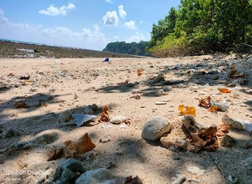 india/andaman-islands/attraction/r-k-pur-dungi-ghat