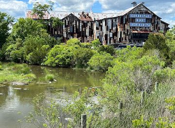 south-carolina/myrtle-beach/attraction/alligator-adventure