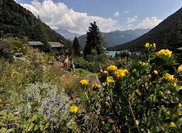 switzerland/verbier/attraction/alpin-flore-alpe-botanical-garden
