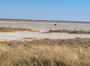 botswana/makgadikgadi-pans/attraction/nata-bird-sanctuary