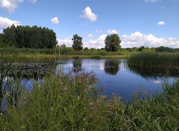 poland/zegrze-reservoir/attraction/jezioro-wieliszewskie