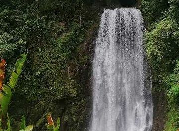 costa-rica/corcovado-national-park/attraction/corcovado-national-park-el-tigre-trail