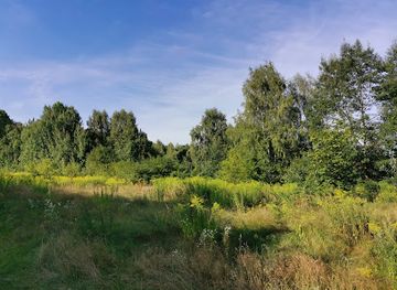 poland/bialystok/attraction/rezerwat-las-zwierzyniecki