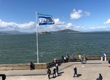 california/san-francisco/attraction/sea-lion-viewing-area