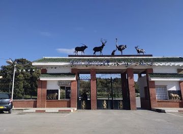 algeria/gueltara/attraction/animal-park-kissir-el-aouana