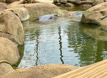 north-carolina/high-country/attraction/greensboro-science-center