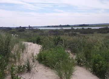 delaware/lewes/attraction/beach-plum-island-nature-preserve