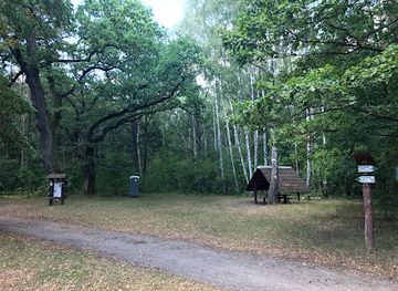 poland/kampinos-national-park/attraction/stary-dab