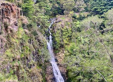 new-zealand/northland/attraction/paranui-falls-lookout