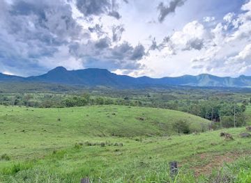 australia/darling-downs/attraction/main-range-national-park-goomburra-section