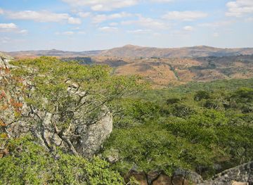 malawi/southern-region/attraction/ntchisi-rain-forest