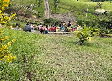 colombia/los-nevados-national-natural-park/attraction/finca-el-mirador-filandia