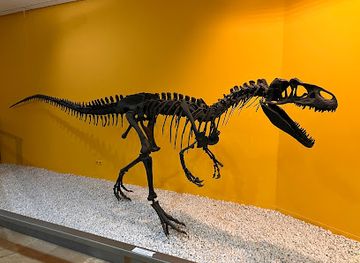 spain/valencian-community/attraction/natural-science-museum-of-valencia