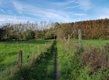 belgium/aalst/attraction/kravaalbos