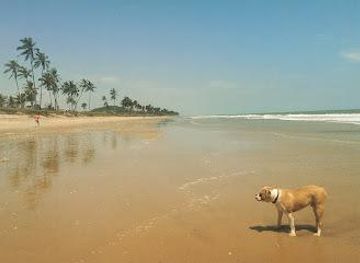 ghana/accra/attraction/kokrobite