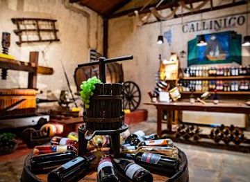 greece/zakynthos/attraction/callinico-winery-museum