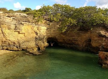 puerto-rico/west-region/attraction/bosque-estatal-de-boqueron