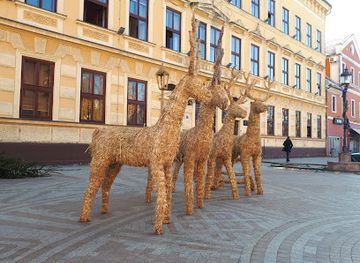 croatia/baranja/attraction/city-museum-vinkovci