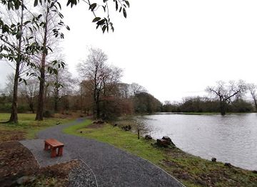 united-kingdom/dyfed/attraction/amgueddfa-sir-gar-carmarthenshire-museum
